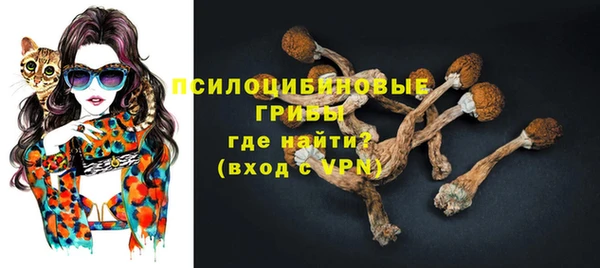 дурь Лагань