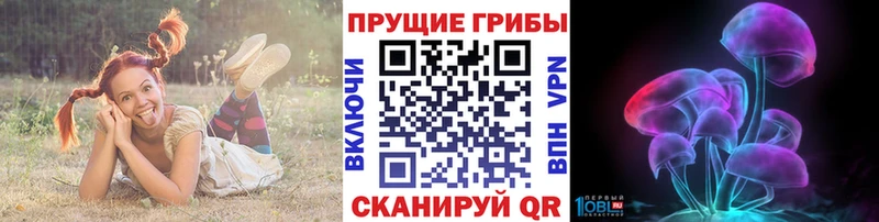 Псилоцибиновые грибы Psilocybe  дарнет шоп  ОМГ ОМГ как зайти  Суздаль 